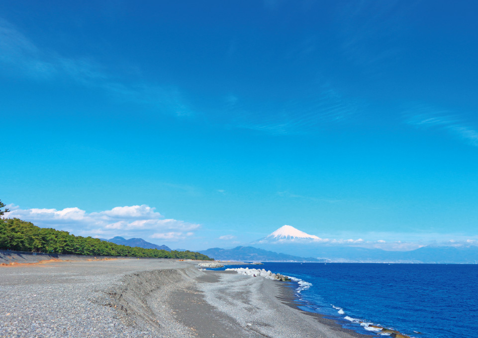 ずっと眺めていたい富士山と松と海の絶景。