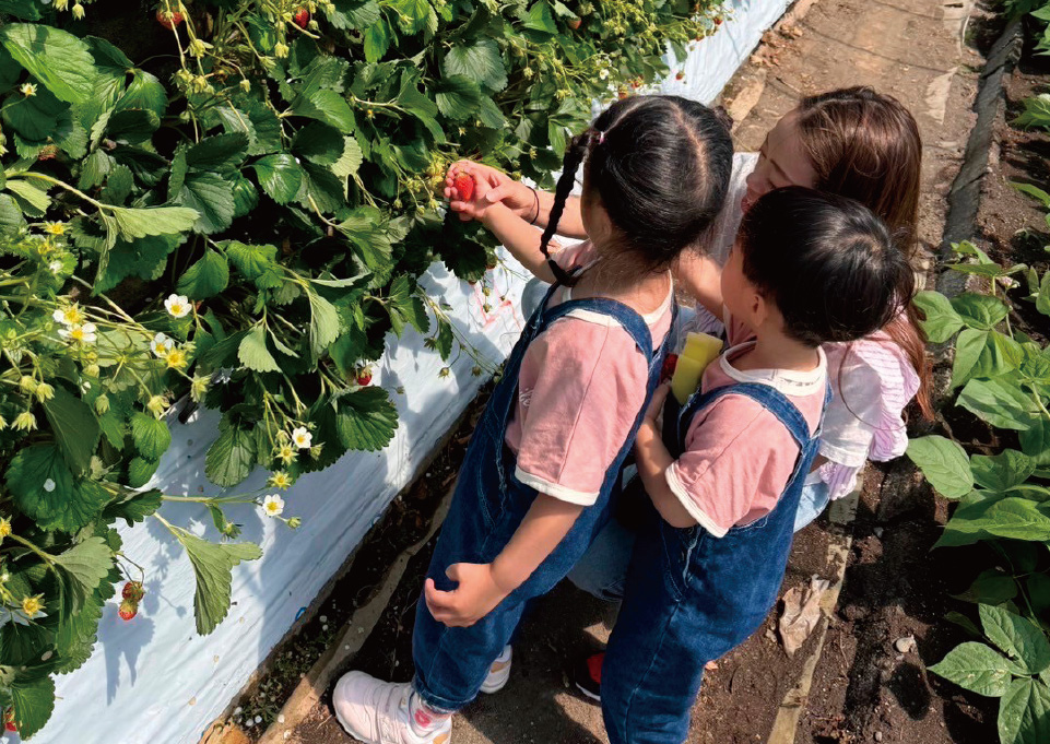 地元発のブランドいちご「あきひめ」のパフェに大満足。