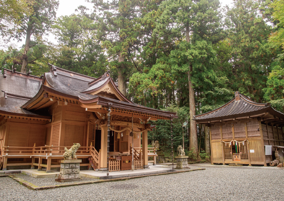 映えスポットに限定御朱印も！杉木立に佇む世界文化遺産の神社。