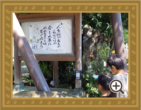 わくわく