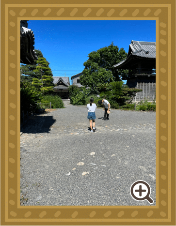 わくわく