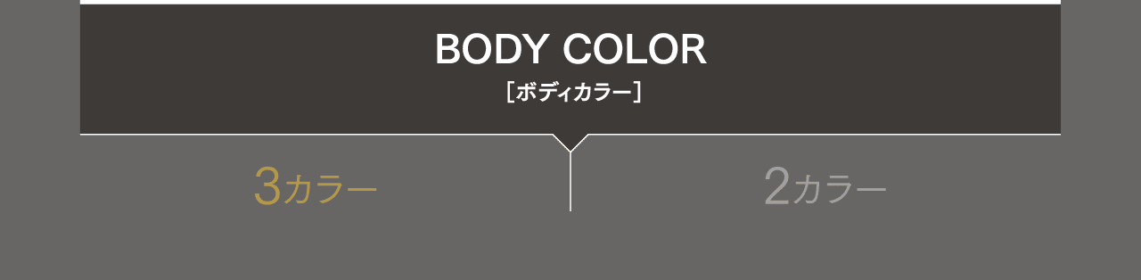 BODY COLOR  ［ボディカラー］ 3カラー 2カラー