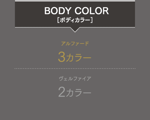 BODY COLOR  ［ボディカラー］ 3カラー 2カラー