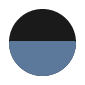 Body color