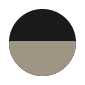 Body color