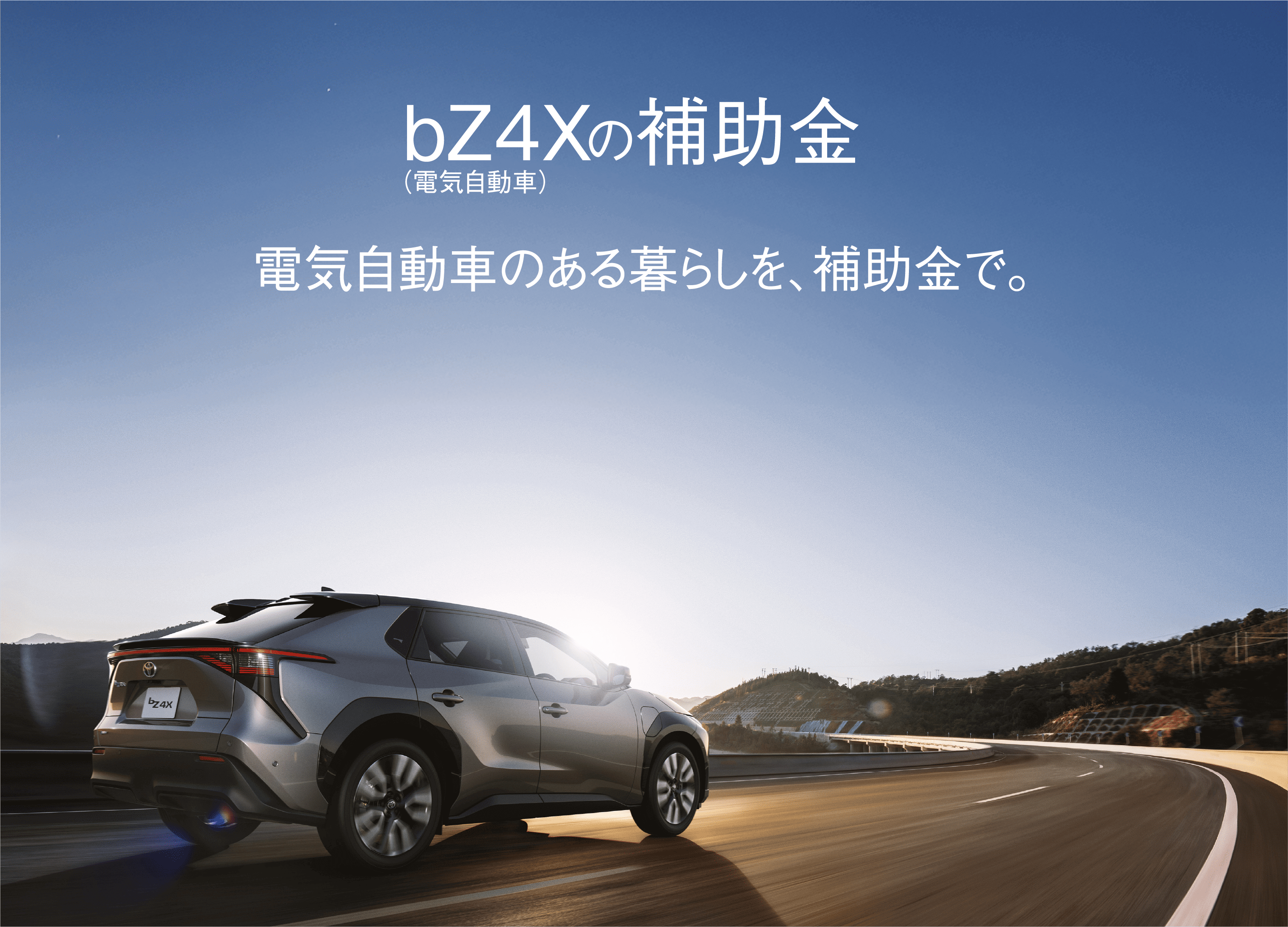 05 電気自動車の補助金