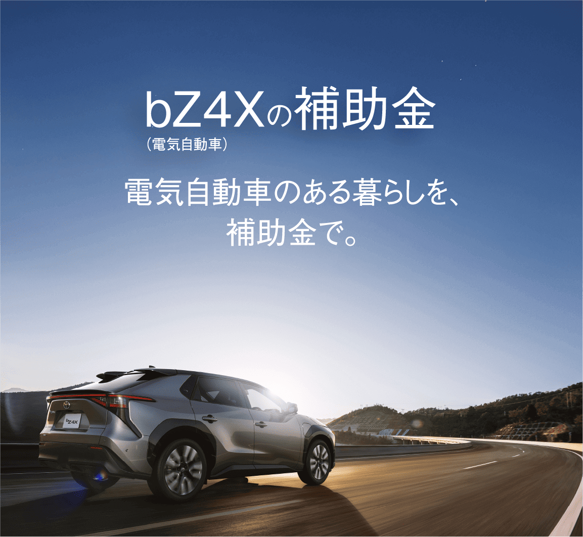 05 電気自動車の補助金