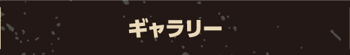 ギャラリー