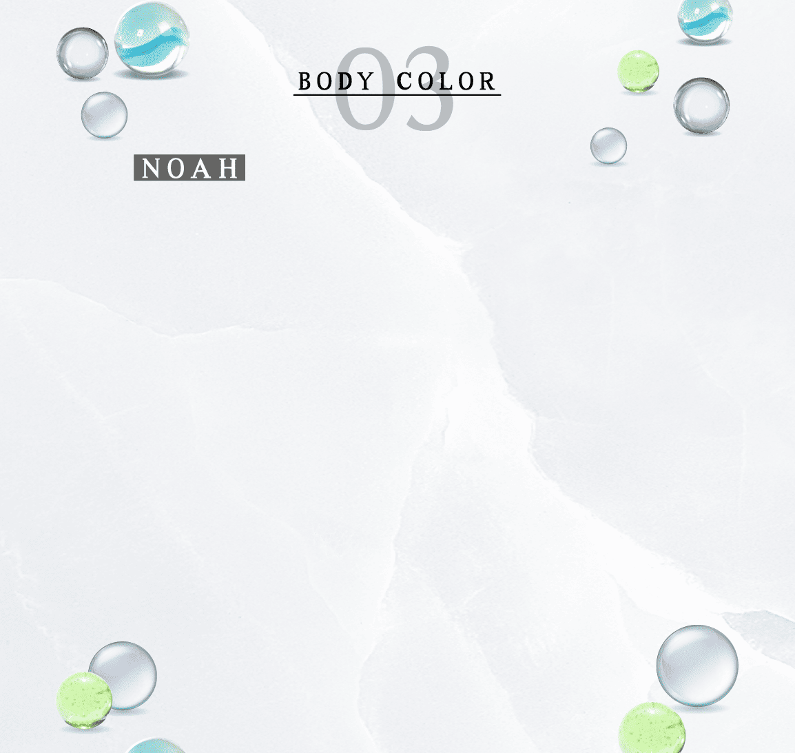 03 BODY COLOR