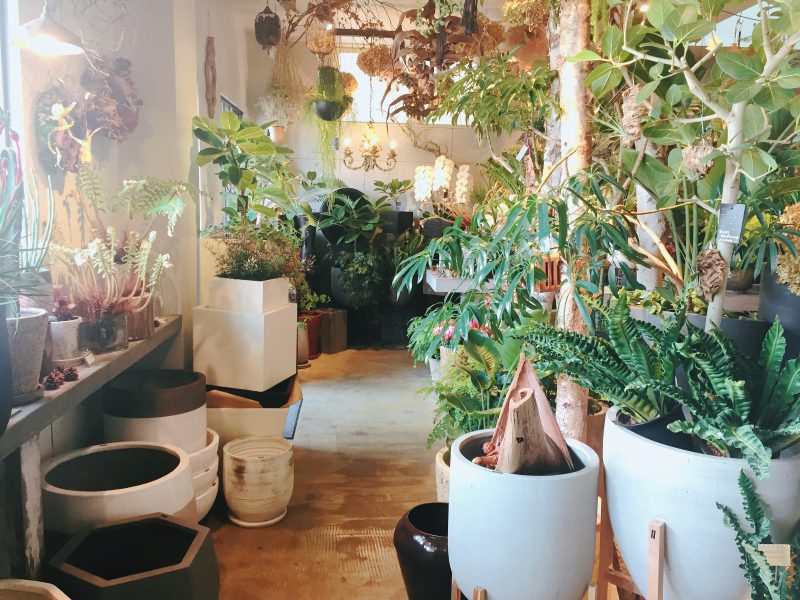 大切な人に花を送ろう 静岡の素敵なお花屋さん Milk Flowers ミルクフラワーズ