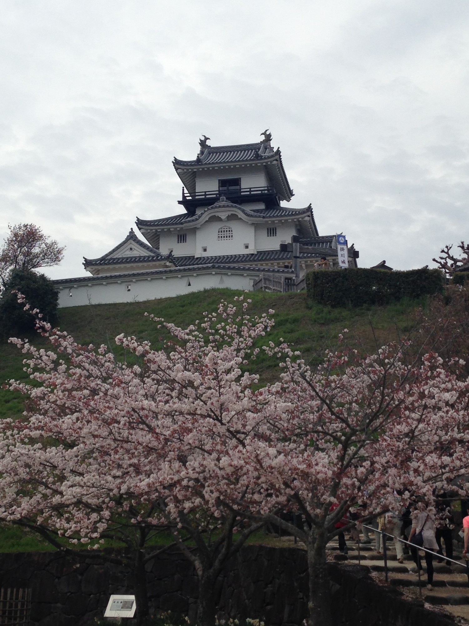 歴史や城好きにお勧め 掛川城を見に行こう