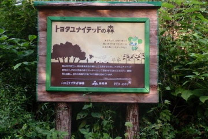 しずおか未来の森サポーター協定「遊木の森の環境保全活動」