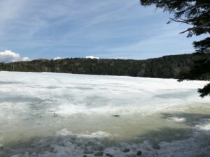 白駒池に氷が張っている画像です